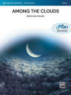 Among the Clouds 