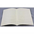 Notenpapier Din A4 hoch (21 x 29,7) 10 Systeme 