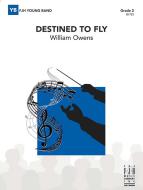 Destined to Fly Download