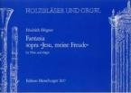 Fantasia sopra 'Jesu meine Freude' 