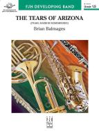 The Tears of Arizona Download