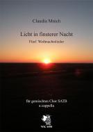 Licht in finsterer Nacht 