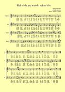 Sieh nicht an, was du selber bist 