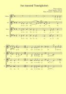 Weihnachtslied - Aus tausend Traurigkeiten 