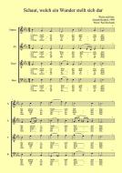 Weihnachtslied - Schaut, welch ein Wunder 