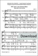 3 Motetten Nr. 21, 22, 23 SWV 73-75 