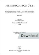 Sei gegrüßet, Maria, du Holdselige SWV 333 