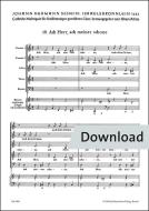 Ach Herr, ach meiner schone Nr. 19 Download