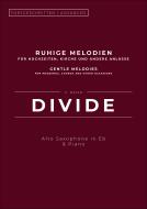 Divide 