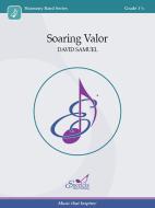 Soaring Valor 