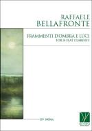 Frammenti d'ombra e luci 