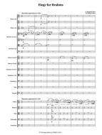 Elegy for Brahms 