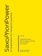 SaxoPhonPower Vol. 28: Não me toques - Chorinho 