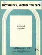 Another Day, Another Teardrop 