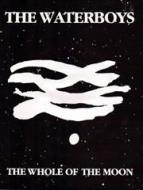 The Whole Of The Moon 