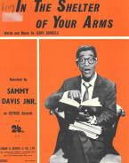 In The Shelter Of Your Arms 