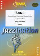 Brazil Standard