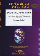 Pray For A Better World Standard