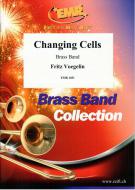 Changing Cells Standard