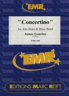 Concertino Standard