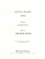 Little Elegy 