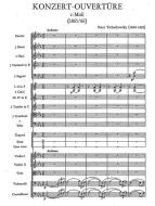 Konzert-Ouvertüre c-Moll (TH 38) 