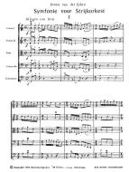 Symfonie voor strijkorkest 