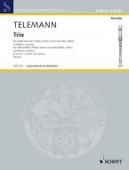 Trio d-Moll Standard