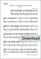Ach Herr, straf mich nicht in deinem Zorn Download