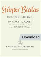 Nachtzauber 