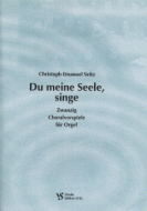 Du meine Seele, singe 