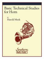 Basic Technical Studies for Horn 