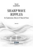 Sharp Wave Ripples Standard