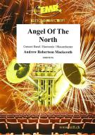 Angel Of The North Standard