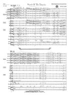 March Of The Tadpoles 