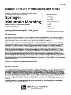 Springer Mountain Morning 