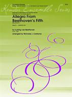 Allegro aus: Symphonie Nr. 5 c-Moll op. 67 Download