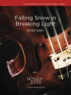 Falling Snow in Breaking Light Download
