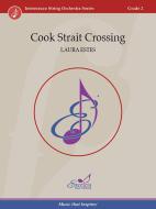 Cook Strait Crossing Download