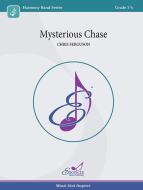 Mysterious Chase Download