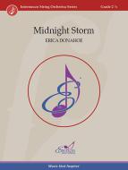 Midnight Storm Download