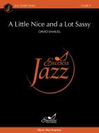 A Little Nice and a Lot Sassy 