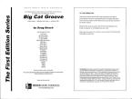 Big Cat Groove 