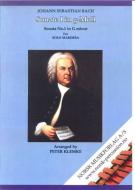 Sonate No. 1 In G-moll 