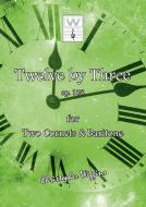 12 By 3 Download