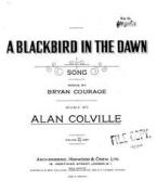 A Blackbird In The Dawn 