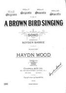 A Brown Bird Singing 
