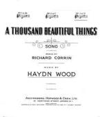 A Thousand Beautiful Things 