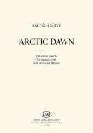 Arctic Dawn 