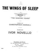 The Wings Of Sleep 